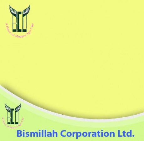 Bismillah Corporation Limited